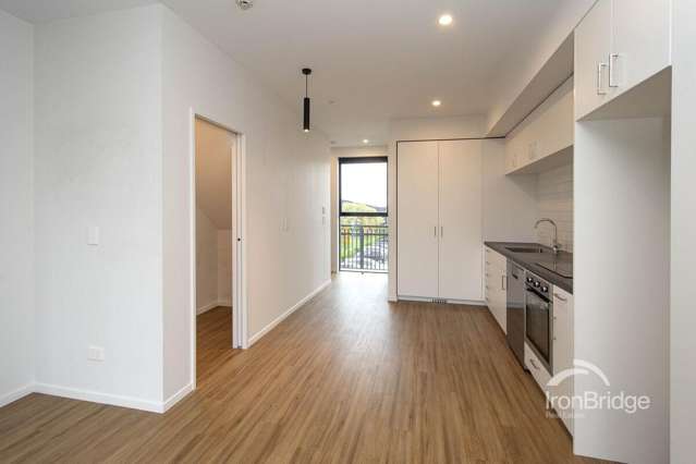 12/4 Waverley Street Sydenham_4