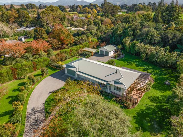 31 Udy Street Greytown_29