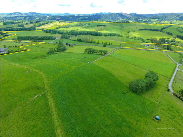 269 Kokopu Block Road Kokopu_0