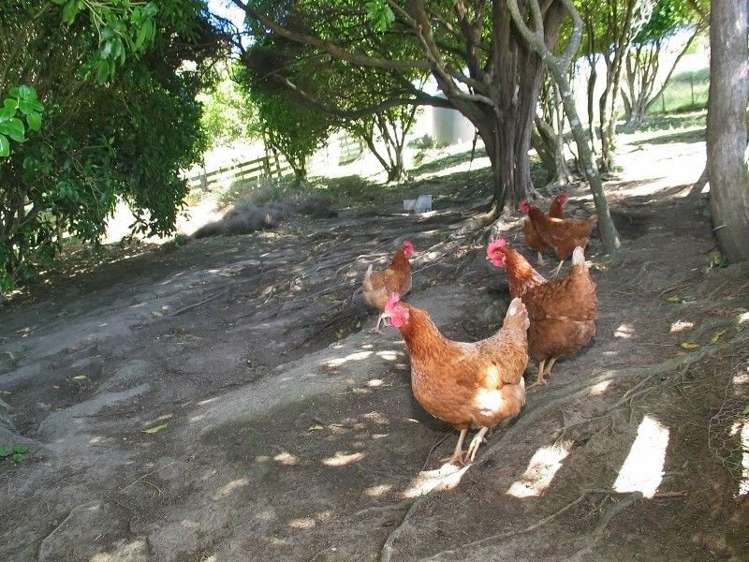 69 Exploration Way Whitby_4