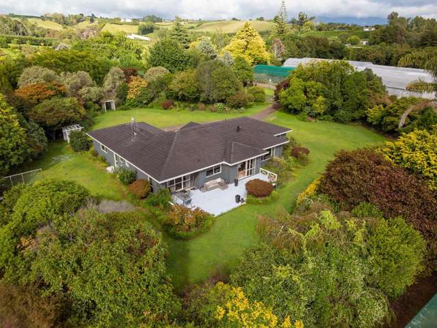 389 Old Highway Whakamarama_2