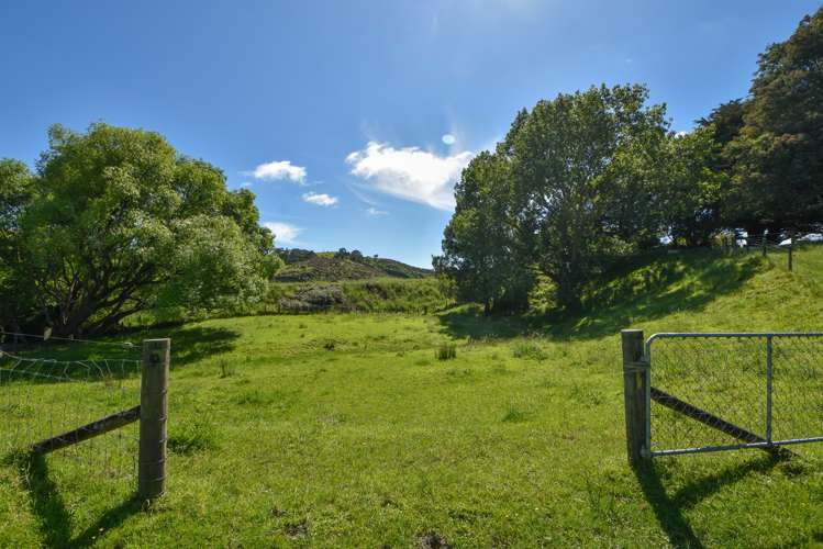 90 Millars Road Longbush_21