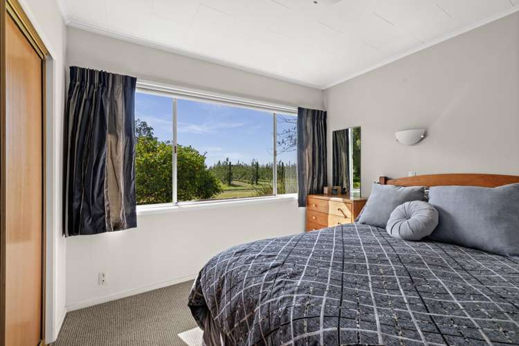 1037 Omahu Road Frimley_11