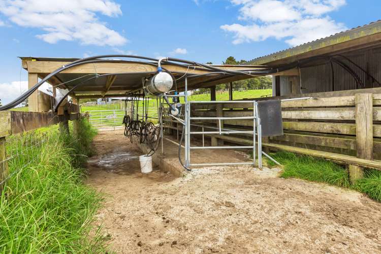 450 Kaiikanui Road Hukerenui and Surrounds_12