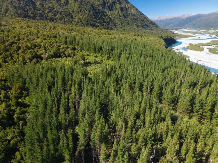 Bell Hill Road Inchbonnie_25