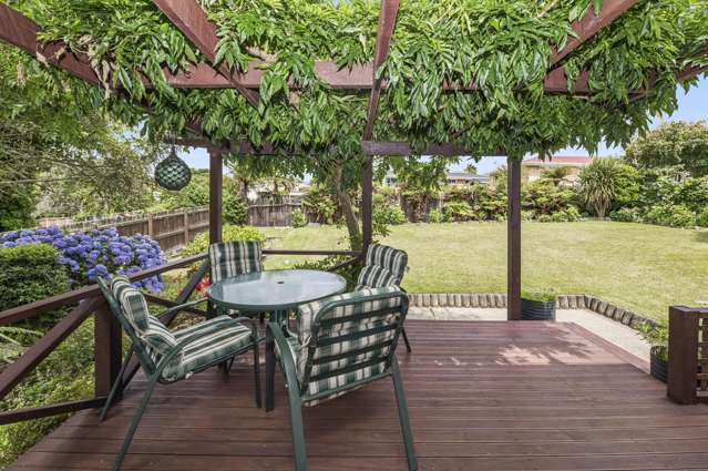 33 Alastair Avenue Owhata_1