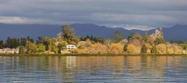 265 Walker Road East Katikati_4