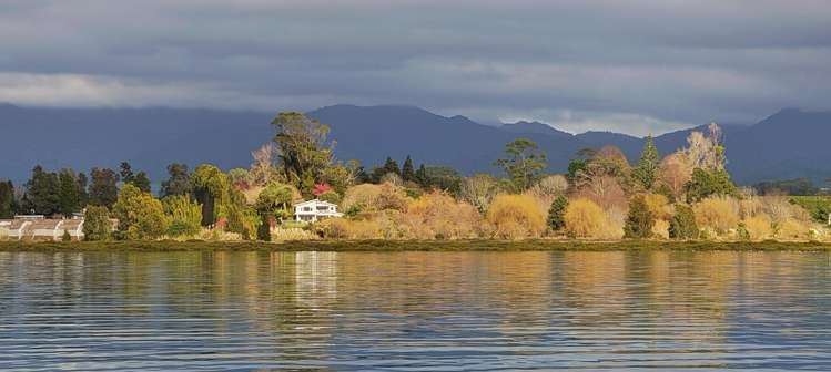 265 Walker Road East Katikati_3