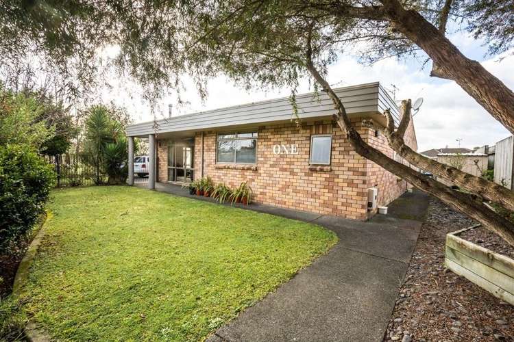 1 Norm Freeman Drive Te Puke_13