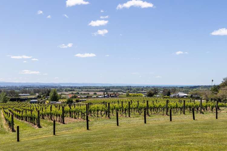 306 Te Mata Road Havelock North_20