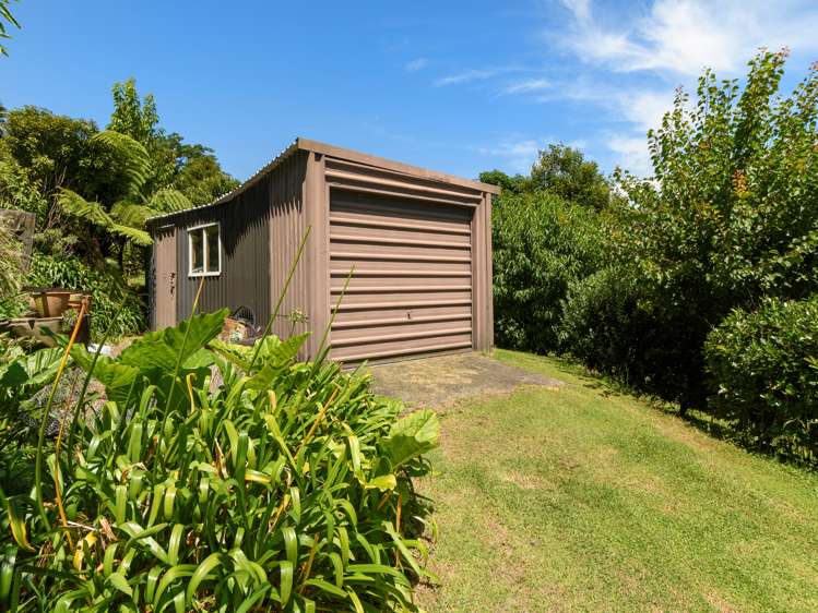 29 Whakamarama Road Whakamarama_20