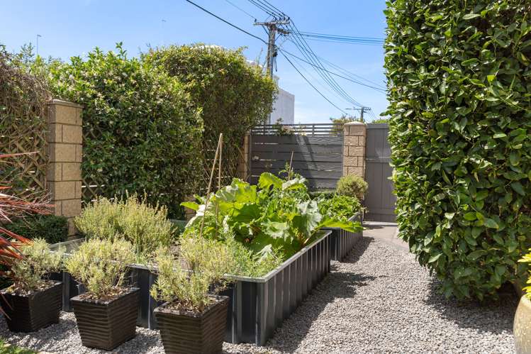 34 Harman Street Addington_17