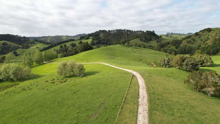 Taylor Road Mangapai and Surrounds_9