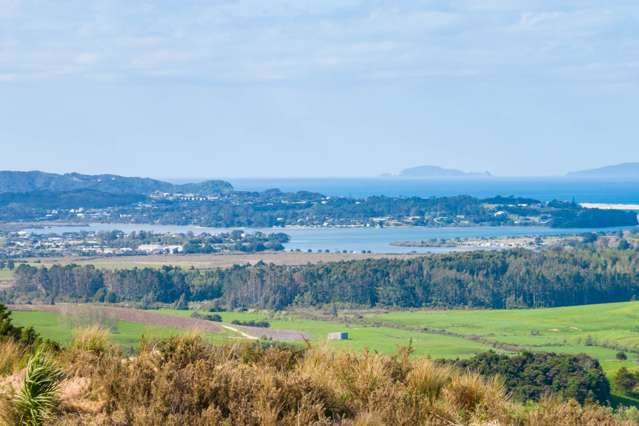 Developers' Dream in Mangawhai !!!