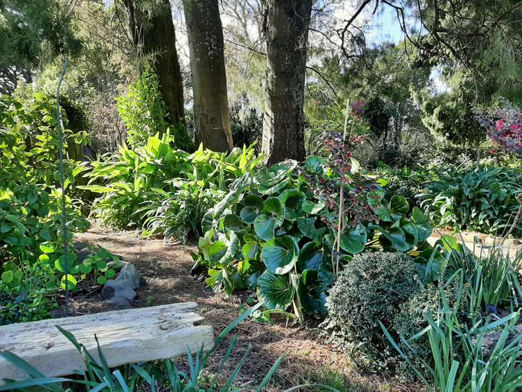 33 Bridge Street Whakatane_12