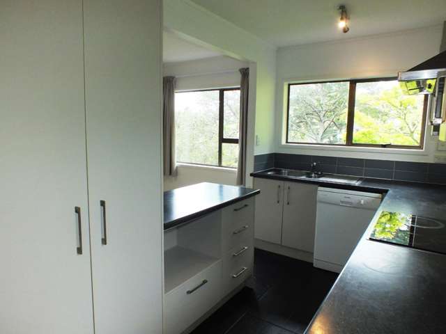 1/19 Saddleback Rise 1618_4