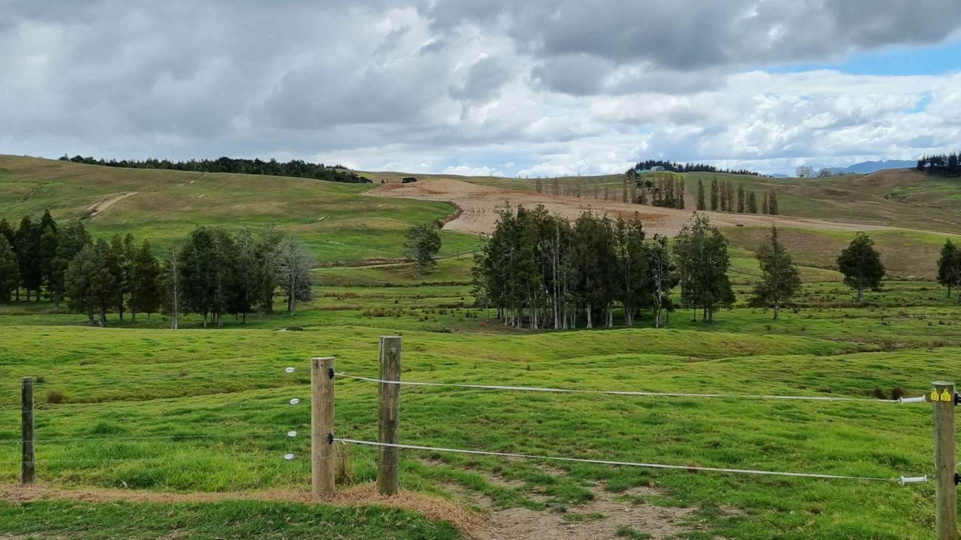 20 Taylor Road Paparoa Kaipara Rural Property For Sale One Roof