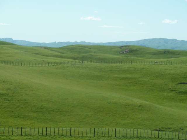 165 Whakapirau Road Maungaturoto_4