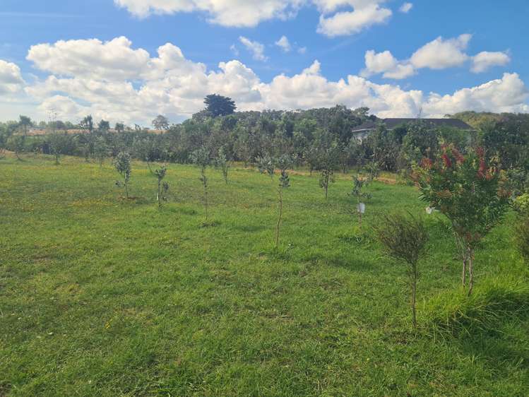 433 Mangapai Road Mangapai and Surrounds_9