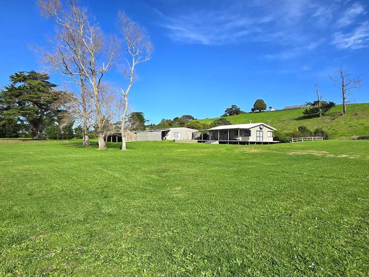259 Redhill Cemetery Road Te Kopuru_11