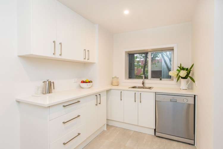 49a Holly Street Avondale_11