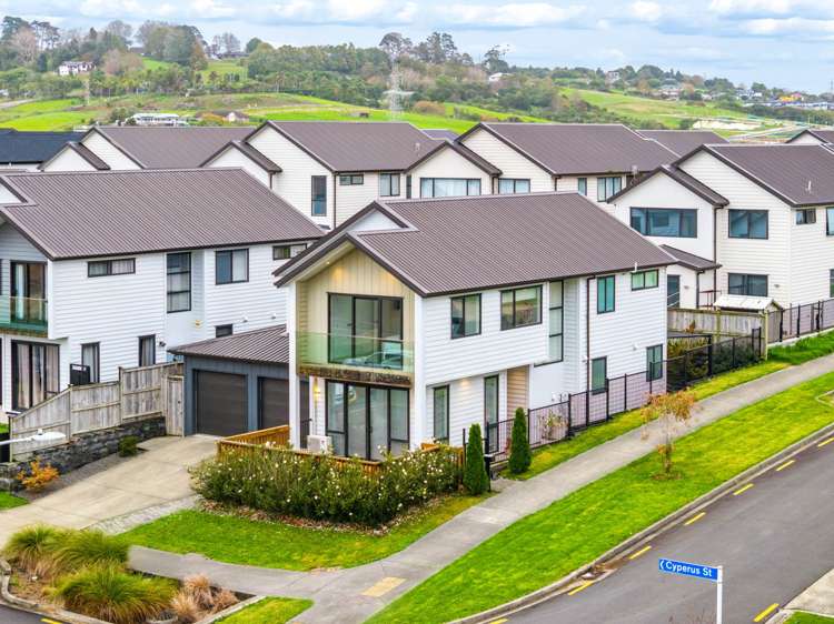 1 Cyperus Street Flat Bush_22