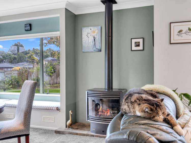 6 Holdsworth Drive Otamatea_5