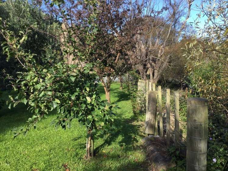 6333 Route 52 Herbertville_13