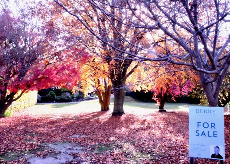 18 Heuchan Lane Wanaka_10