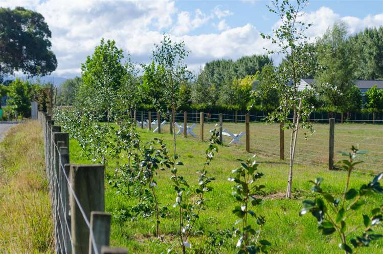 181e Willow Park Drive Opaki_2