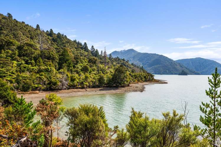 Lots 1 and 5 Nydia Bay Nydia Bay_5