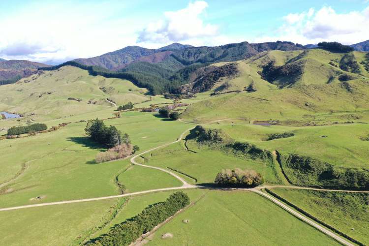 85289 State Highway 2 Eketahuna_8