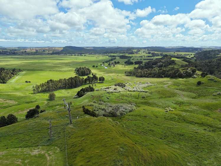 497 Opanake Road Dargaville_15