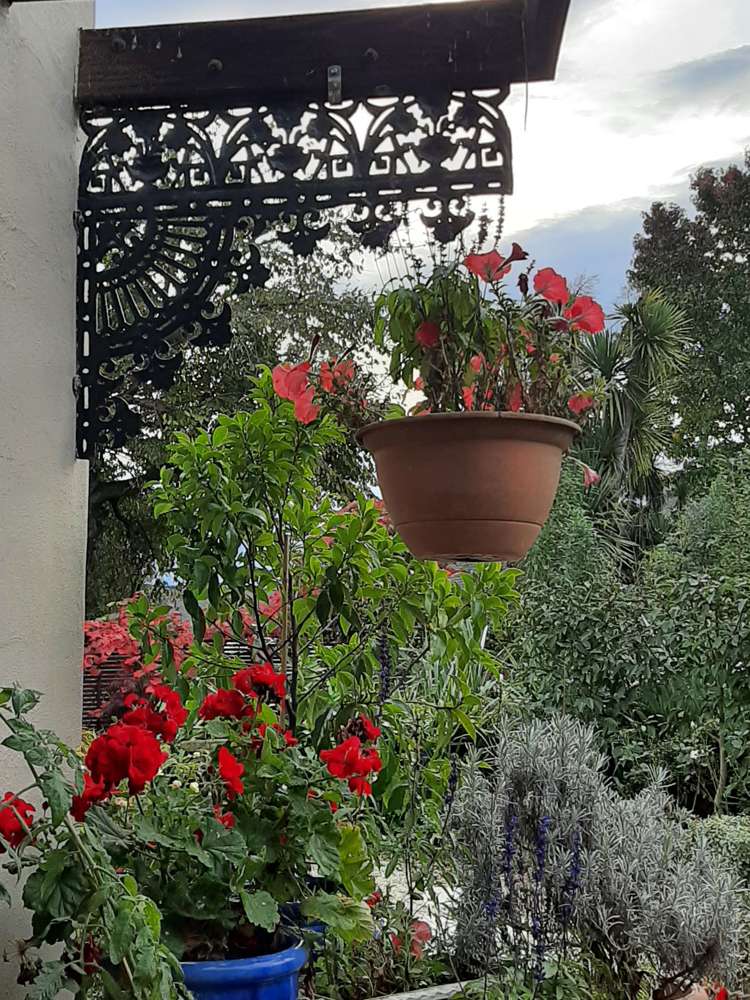 7 Ivory Gardens Rangiora_31