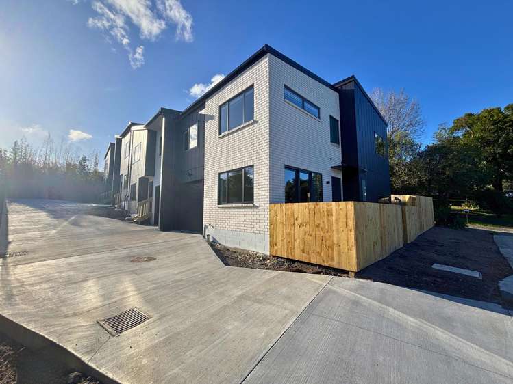 19A Dellwood Avenue_0