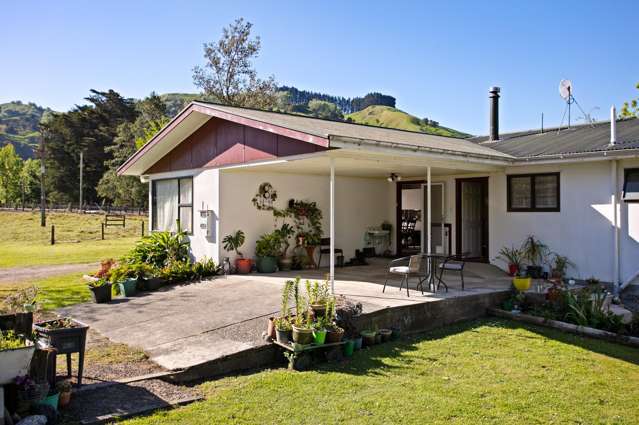 3855 Matawai road Te Karaka_1