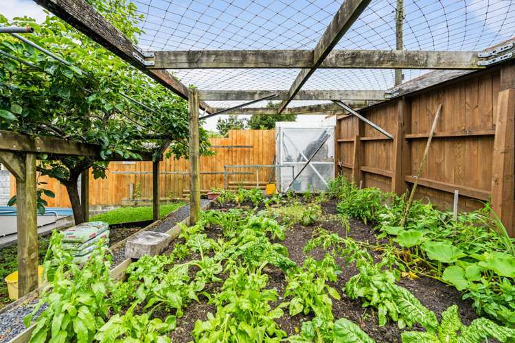 5 Raumanga Heights Drive Raumanga_19