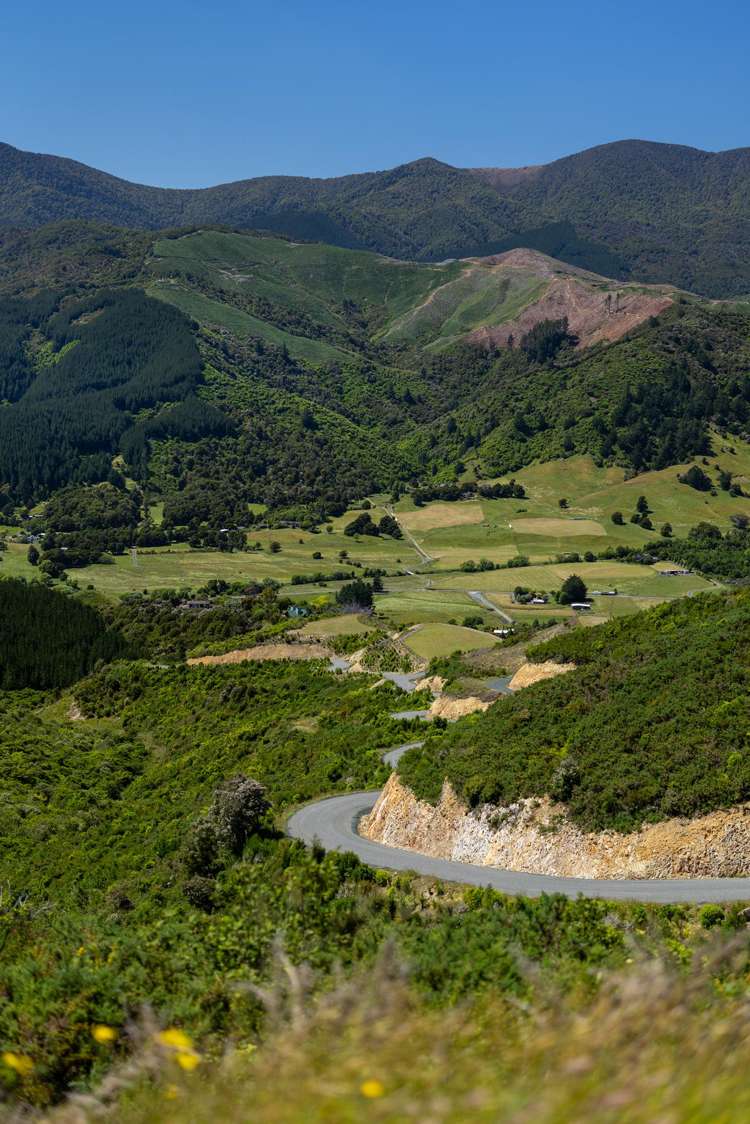 Cable Bay Road Hira_8