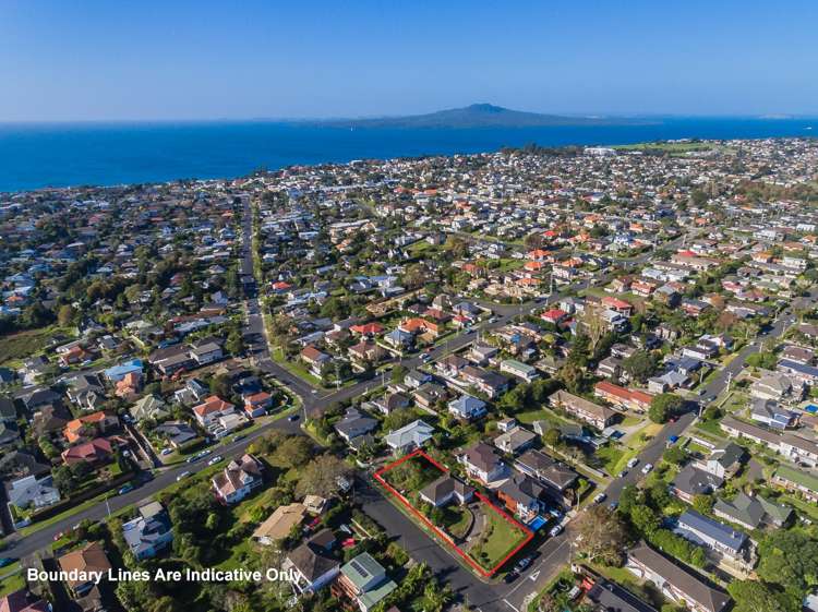 35 Sydney Street Hauraki_1