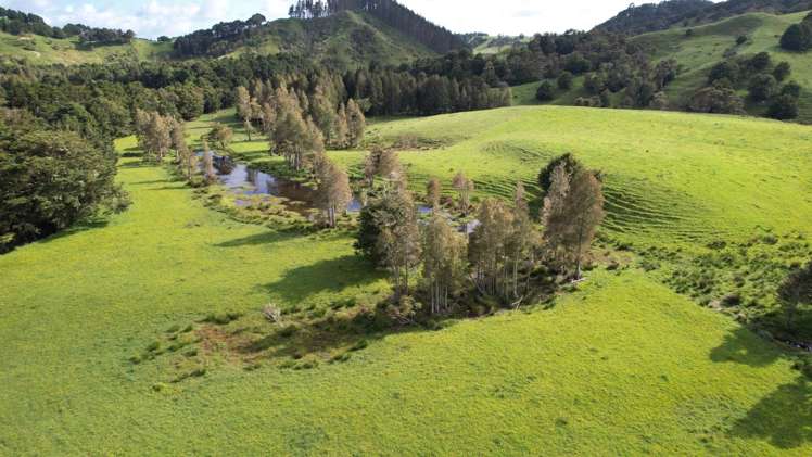 Taylor Road Mangapai and Surrounds_19