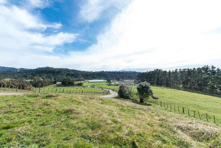 6 Gum Road Henderson Valley_24