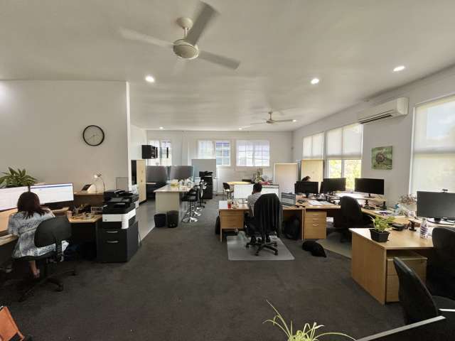 58 Surrey Crescent Grey Lynn_4