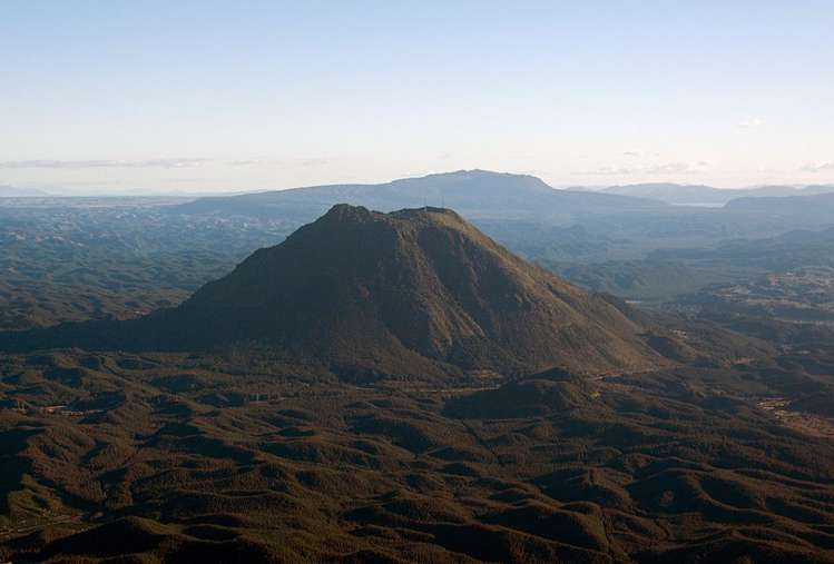 154 College Road Edgecumbe_8