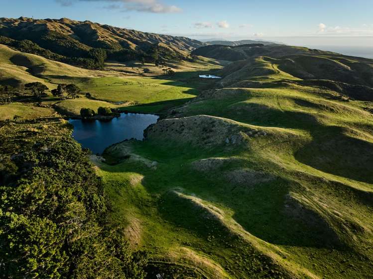 Pikarere Farm Porirua_19