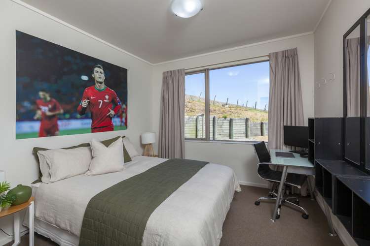 187 Peka Peka Road Peka Peka_15