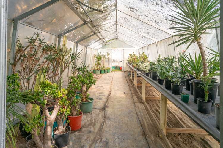 48 Elizabeth Street Waikanae_41