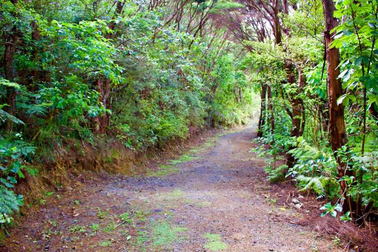 Station R/Lot 7 Medland Road Great Barrier Island_3