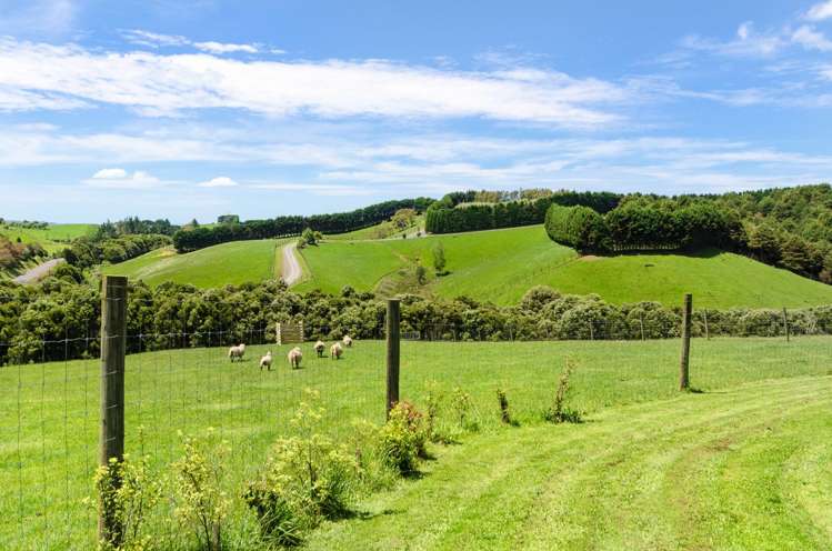 480 Creightons Road Clevedon_23