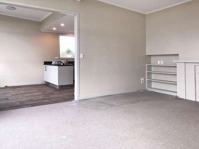 258 Clyde Street Balclutha_4
