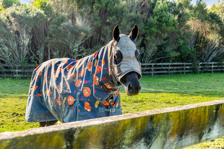 40 Farrand Road Kumeu_29